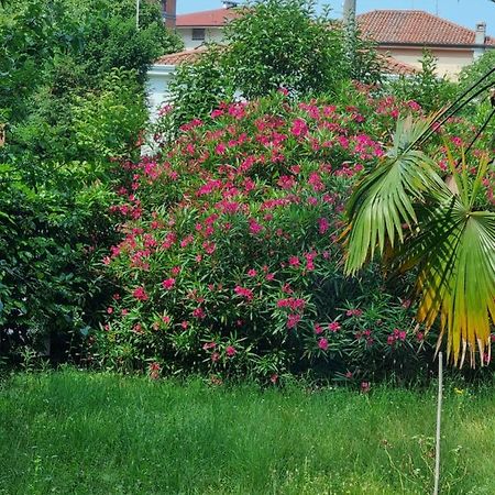 Alloggio Silva Gorizia Exteriér fotografie