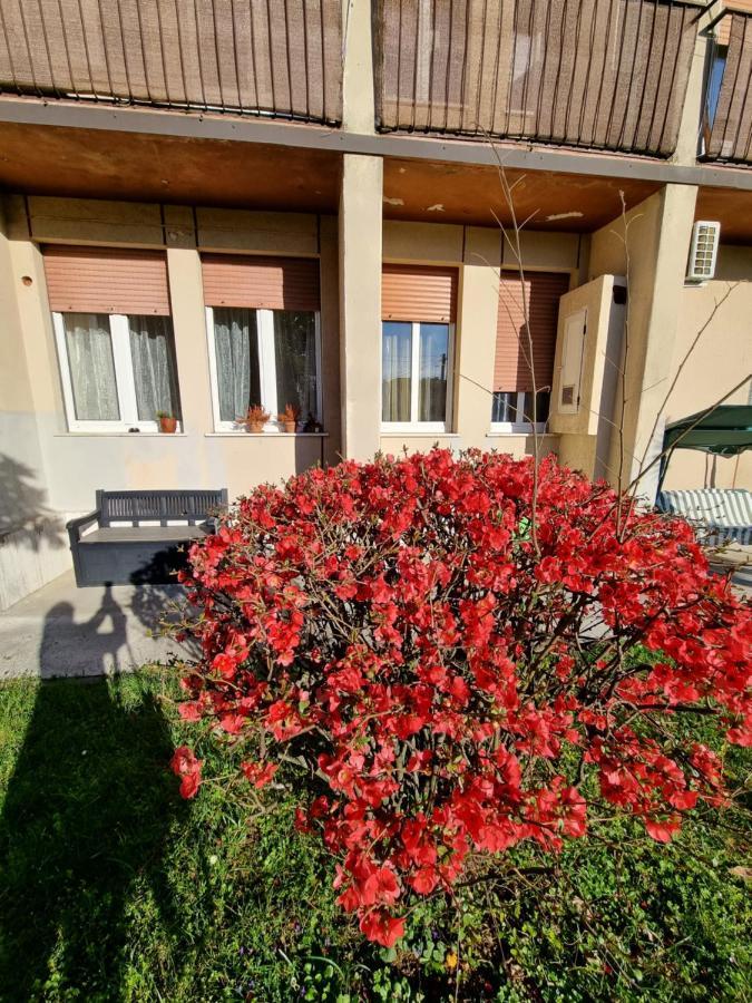 Alloggio Silva Gorizia Exteriér fotografie