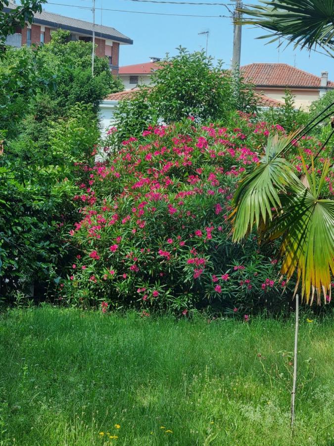 Alloggio Silva Gorizia Exteriér fotografie